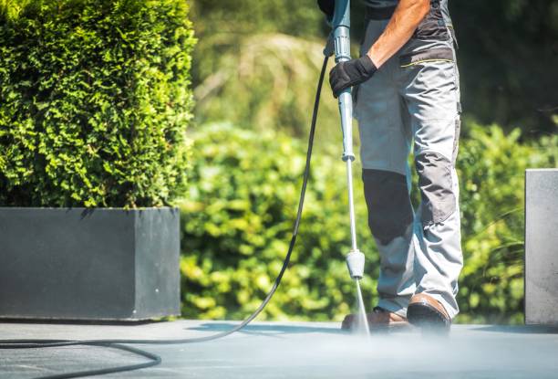 Best Roof Washing  in Johnston, SC