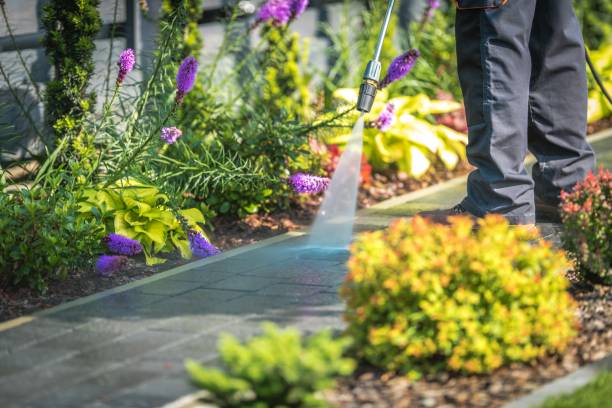 Best Residential Exterior Washing  in Johnston, SC