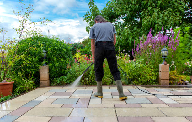 Best Driveway Pressure Washing  in Johnston, SC